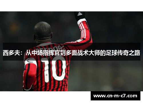 西多夫:从中场指挥官到多面战术大师的足球传奇之路 西多夫:从中场指挥官到多面战术大师的足球传奇之路