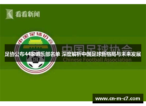 足协公布44家俱乐部名单 深度解析中国足球新格局与未来发展
